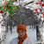 Вера Шелепова
