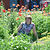 Марина Кононенко (Галямова)